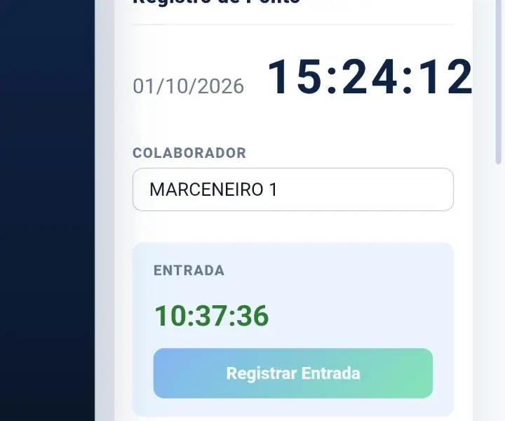 Ponto, horas e produção da equipe: tela real do COE Soluções